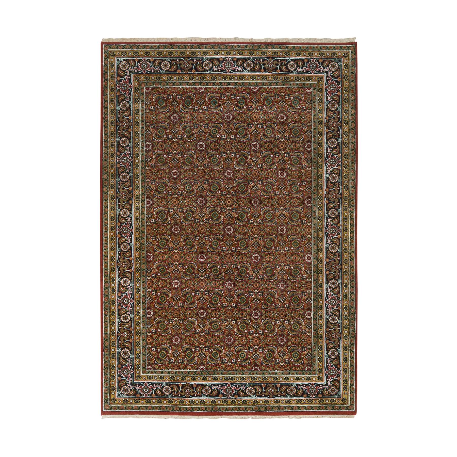 Traditional Rugs LUV585972